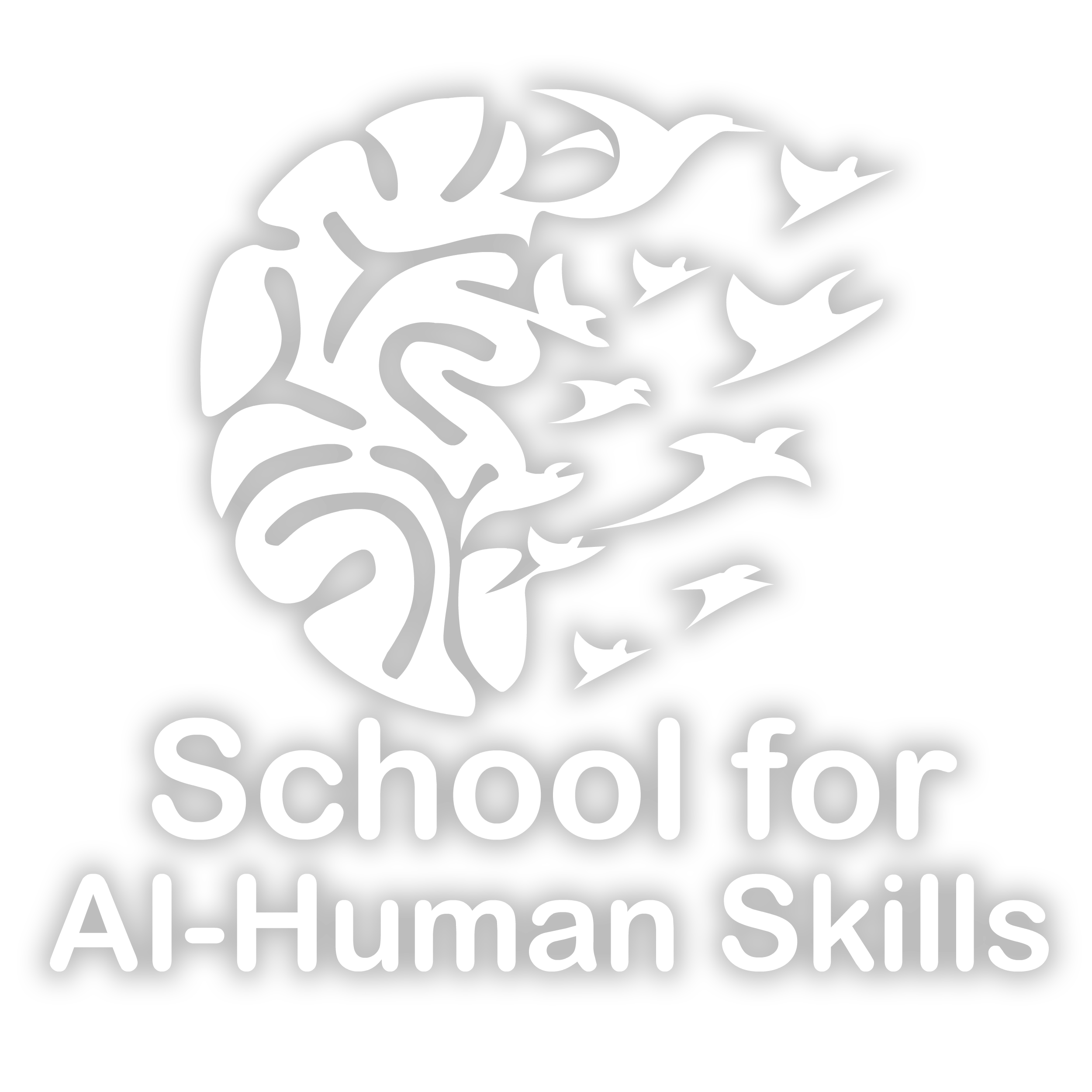 School for AI-Human Skills